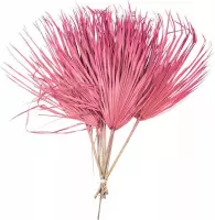 Gedroogde Roze Palmbladeren - 10 Stuks