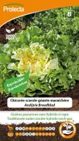 Protecta Groente zaden: Andijvie Breedblad