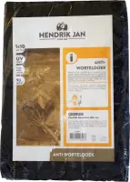 Hendrik Jan anti worteldoek 1 x 10 m