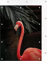 Tuinposter Flamingo | 90 x 120 cm cm | PosterGuru