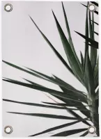 Villa Madelief | Tuinposter Palm| 70x100cm | Vinyl | Tuindecoratie | Tuinschilderij