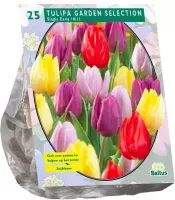 Plantenwinkel Tulipa Garden Selection tulpen bloembollen per 25 stuks