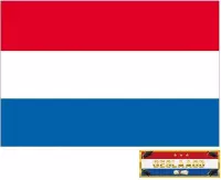 Voordelige Nederlandse vlag voor geslaagd / afgestudeerd feestje - incl. gratis sticker