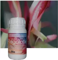 BioQuant, Bio Regulone 1ltr