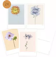 Ansichtkaarten - bloemen - set - blanco - fotografie - lente - kievitsbloem - tulp - sneeuwklokje - botanisch - wallart - 300 grams papier