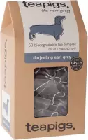 teapigs Darjeeling Earl Grey - 50 Tea Bags - XL pack