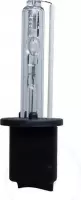 Blanco HID-Xenon lamp H1 4300K, 1 stuk