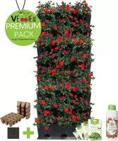 Minigarden® Vertical Kitchen Garden - verticale tuin - verticaal tuinieren - PREMIUM PACK met verankeringclips, irrigatie microdripbuizen, vloeibare voedingsstof, inclusief 4 salad