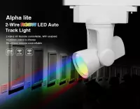 Tracklight Auto Rail - 2-Wire RGB+CW - Wit