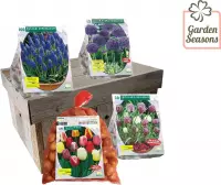 Borderpakket 245 bloembollen  | Bloembollen | Blumenzwiebeln | Flowerbulbs| Cadeau | Bloemen | Allium | tulpen | Krokus