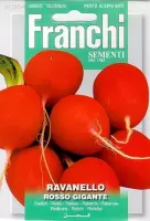 Franchi - Ravanello Rosso Gigante - Radijs Grote Rode