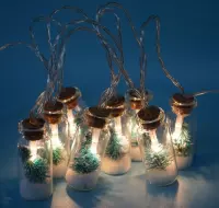 Dreamled decoratieve LED fles-lampjes BLS-10