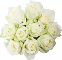 Platinum White | Witte Valentijns Rozen | 20 Rozen| Luxe geschenkdoos | Cadeau | Bos rozen