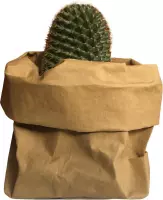 de Zaktus - Trichocereus - cactus - paper bag Naturel - Maat XL
