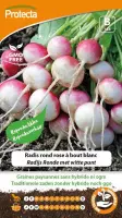 Protecta Groente zaden: Radijs Ronde met witte punt