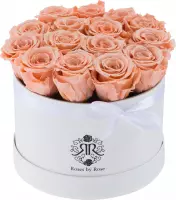 Peach Flowerbox longlife rozen - Large wit