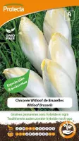 Protecta Groente zaden: Witlof Brussels