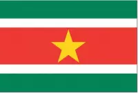 Vlag Suriname 30x45cm