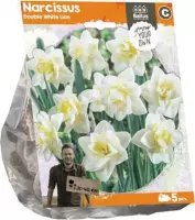 Plantenwinkel Narcissus Double White Lion bloembollen per 5 stuks