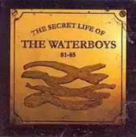 The Secret Life Of The Waterboys