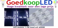 LED module 1.2W 50x3 koud wit