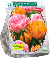 Plantenwinkel Tulipa Foxy Freedom tulpen bloembollen per 25 stuks