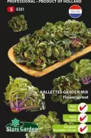Sluis Garden - Kalettes Garden Mix