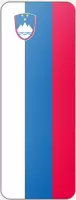 Banier Slovenië - 300x120cm - Polyester