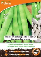 Protecta Groente zaden: Pronkboon boerentenen