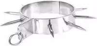 Metalen halsband met lange spikes