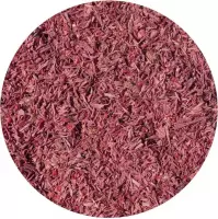 Cranberry Vlokken 0,5 - 3,0 mm - 1 Kg - Holyflavours -  Biologisch