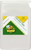 Chlorella 1000 - 120 tabletten - Biologisch geteeld en met gebroken celwand - Ondersteunt de weerstand en het immuunsysteem |7Bees