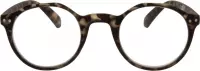 Icon Eyewear YCJ355 Avon Leesbril +2.00 - mat safari tortoise