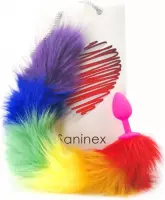 SANINEX SEXTOYS | Saninex Sensation Plug With Rainbow Tail