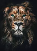 Leeuw op Acrylglas - WallCatcher | Staand 80 x 120 cm | Lion