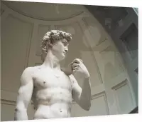 De David van Michelangelo Buonarotti in Florence - Foto op Plexiglas - 40 x 30 cm