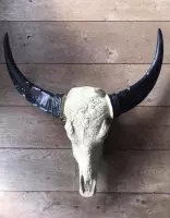 Skull buffelschedel zwarte uiteinden 80 cm hoog
