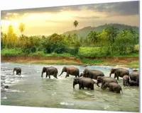 Wandpaneel Kudde badende olifanten  | 210 x 140  CM | Zilver frame | Akoestisch (50mm)