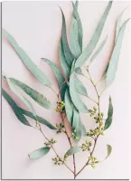 DesignClaud Eucalyptus blad tak - Botanische poster A2 poster (42x59,4cm)