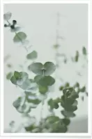 JUNIQE - Poster Eucalyptus Green 2 -20x30 /Groen & Wit