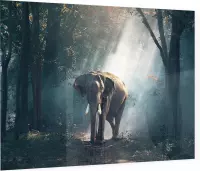 Olifant in oerwoud - Foto op Plexiglas - 90 x 60 cm