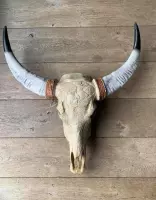 Skull buffelschedel beige met zwarte uiteinden