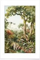 JUNIQE - Poster Botanical Forest -20x30 /Grijs & Groen