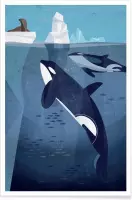 JUNIQE - Poster Vintage orka -40x60 /Blauw