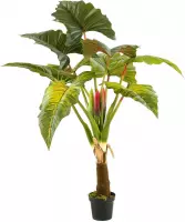 Kunstplant Colocasia 160 cm