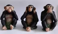 Horen, zien, zwijgen chimpansees