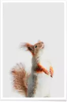 JUNIQE - Poster Red Squirrel II -20x30 /Grijs & Oranje