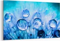 Schilderij - Mooie dauwdalingen op bloem — 100x70 cm