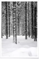 JUNIQE - Poster Deep Dark White Forest -30x45 /Grijs & Wit