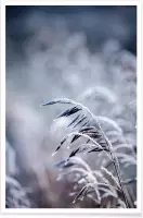 JUNIQE - Poster Frosty Morning 5 -20x30 /Blauw & Grijs